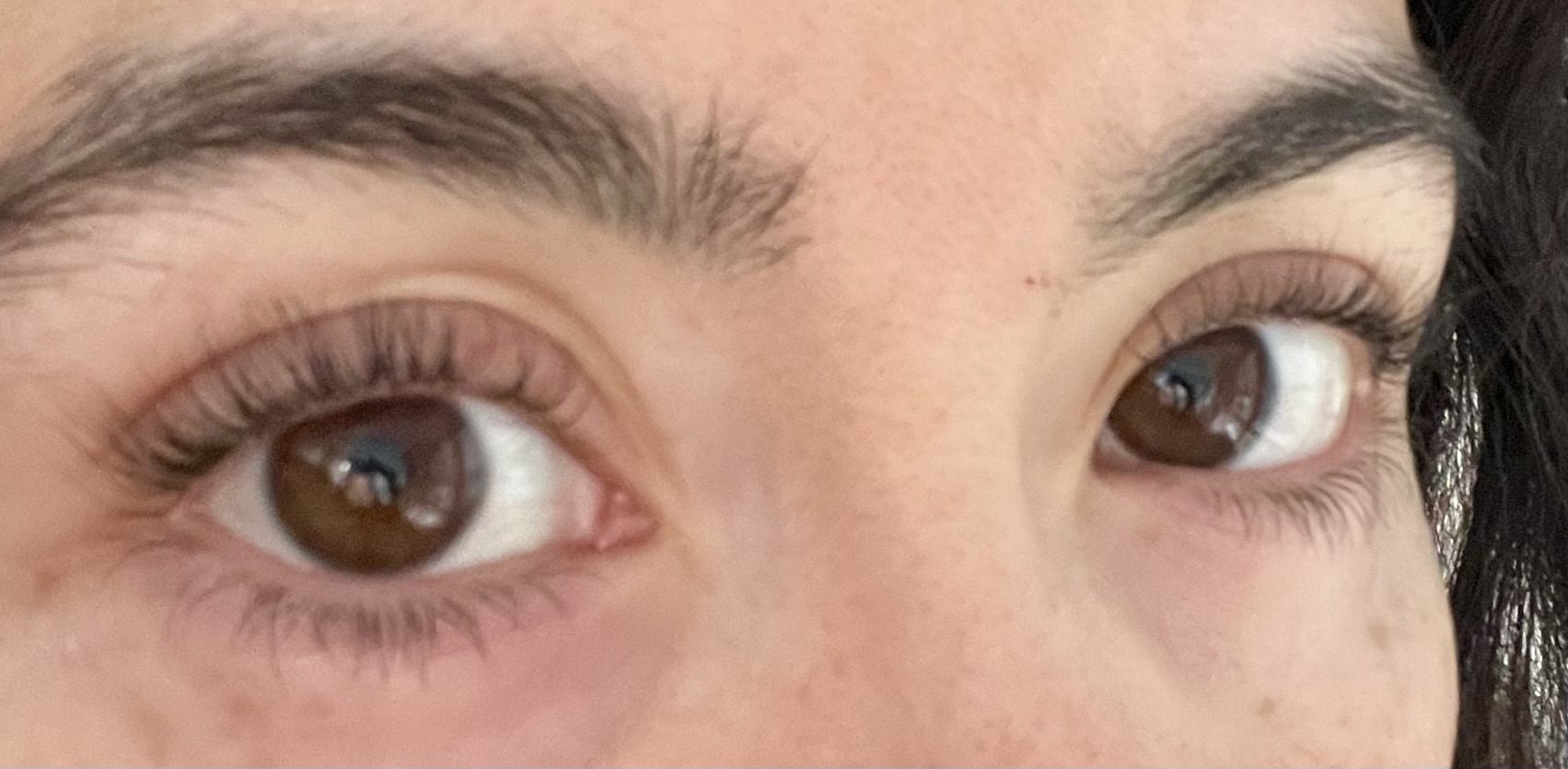 Resultaat van een lash lift met tint, beide ogen